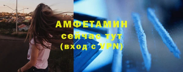 винт Абаза
