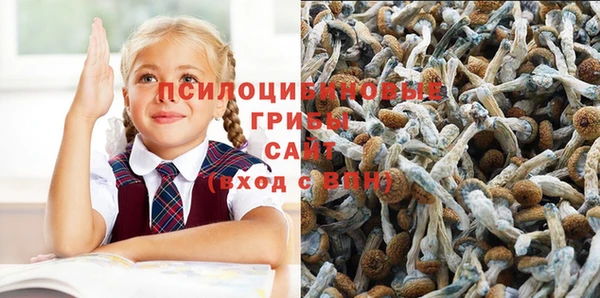 ешки Покров