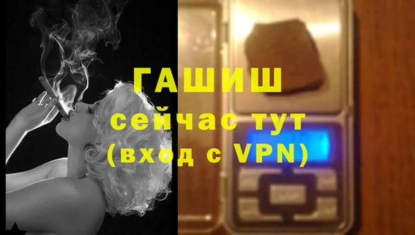 винт Абаза