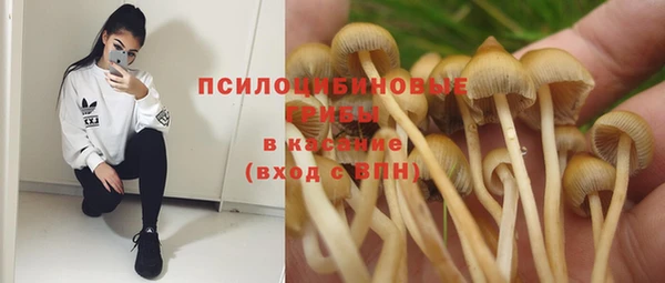 винт Абаза