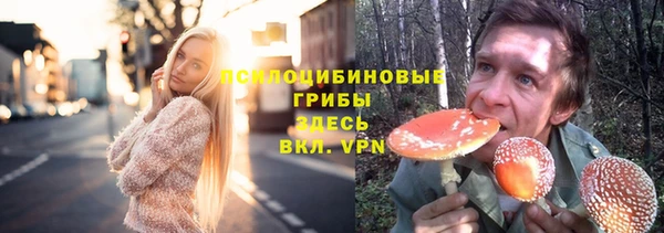 стаф Абинск