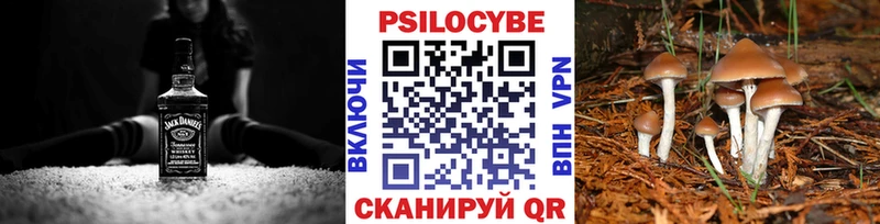 Галлюциногенные грибы Psilocybine cubensis  Суздаль 
